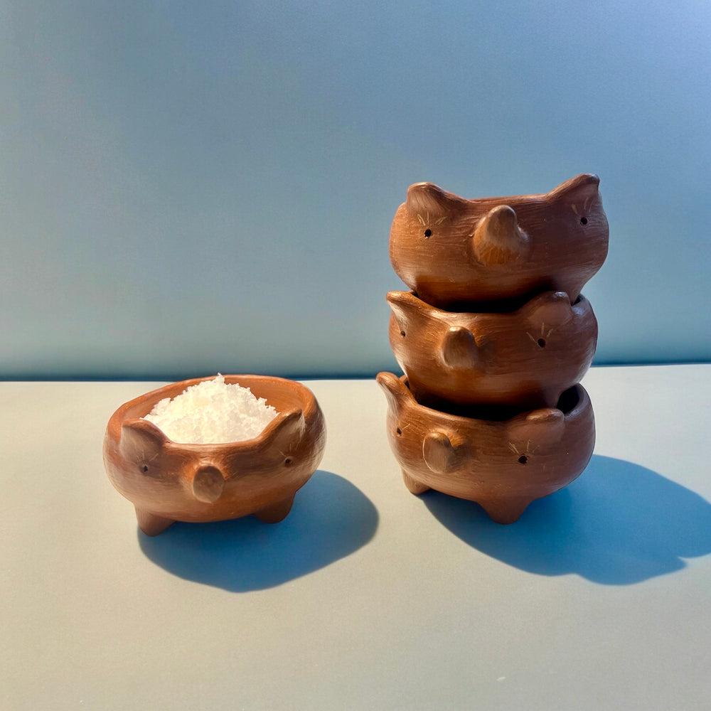 
                  
                    Set Linea Ensamble Oaxaca
                  
                