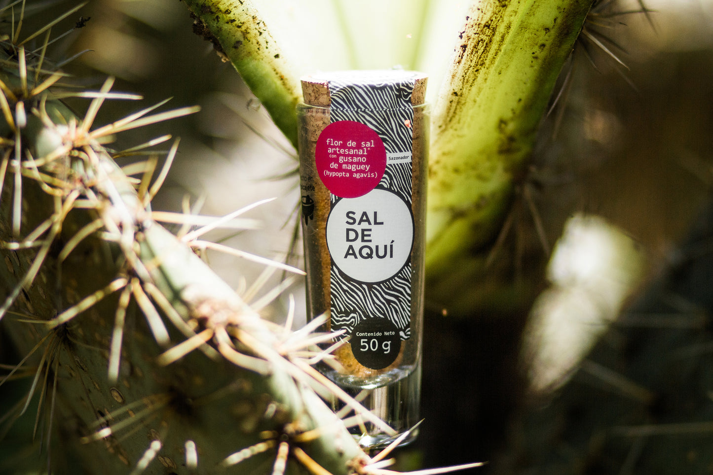 
                  
                    Flor de sal con gusano de maguey Sal de Aquí – sal artesanal de origen mexicano Cuyutlán Colima
                  
                