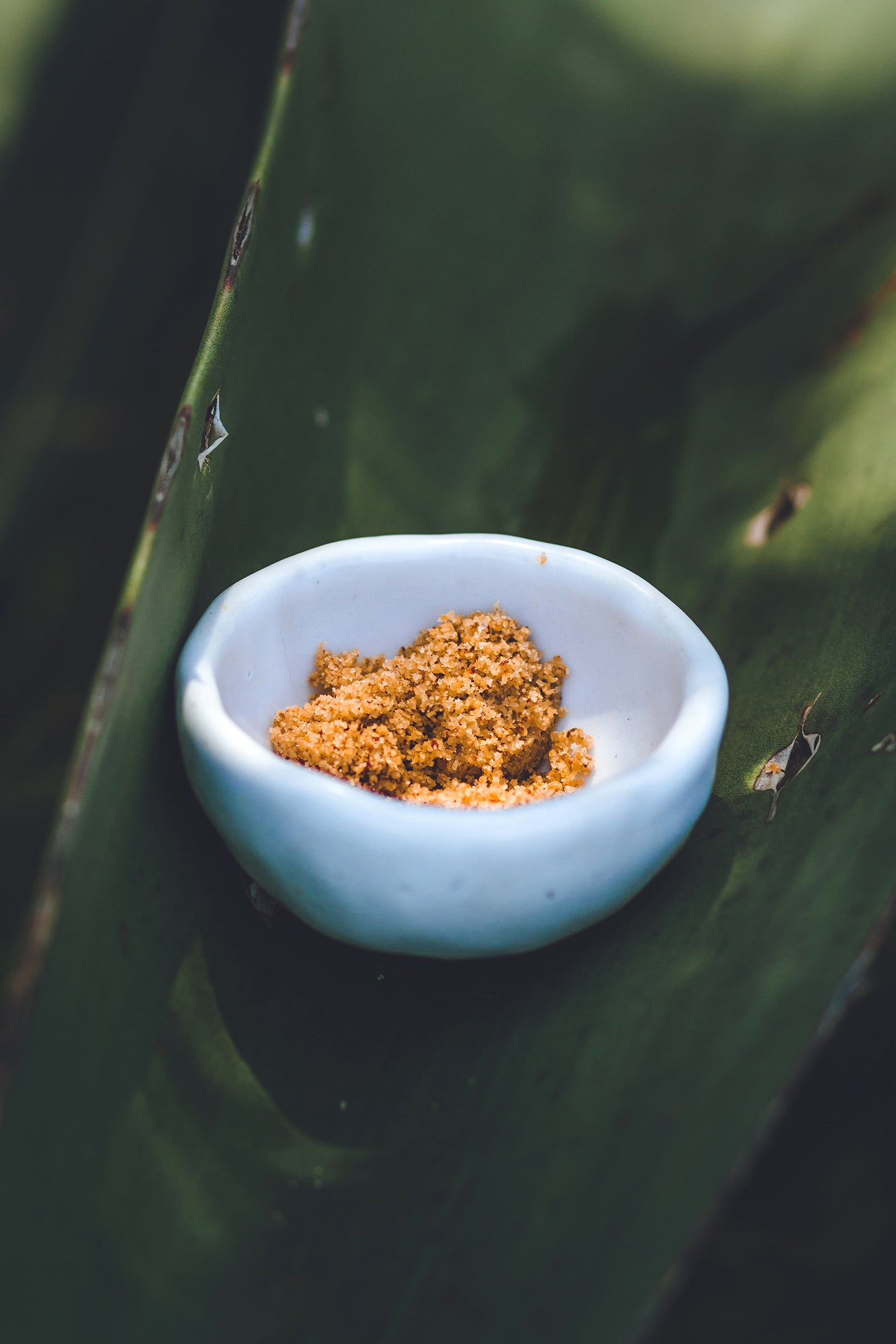 
                  
                    Textura Flor de sal con gusano de maguey Sal de Aquí en cuenco – sal artesanal Cuyutlán Colima
                  
                