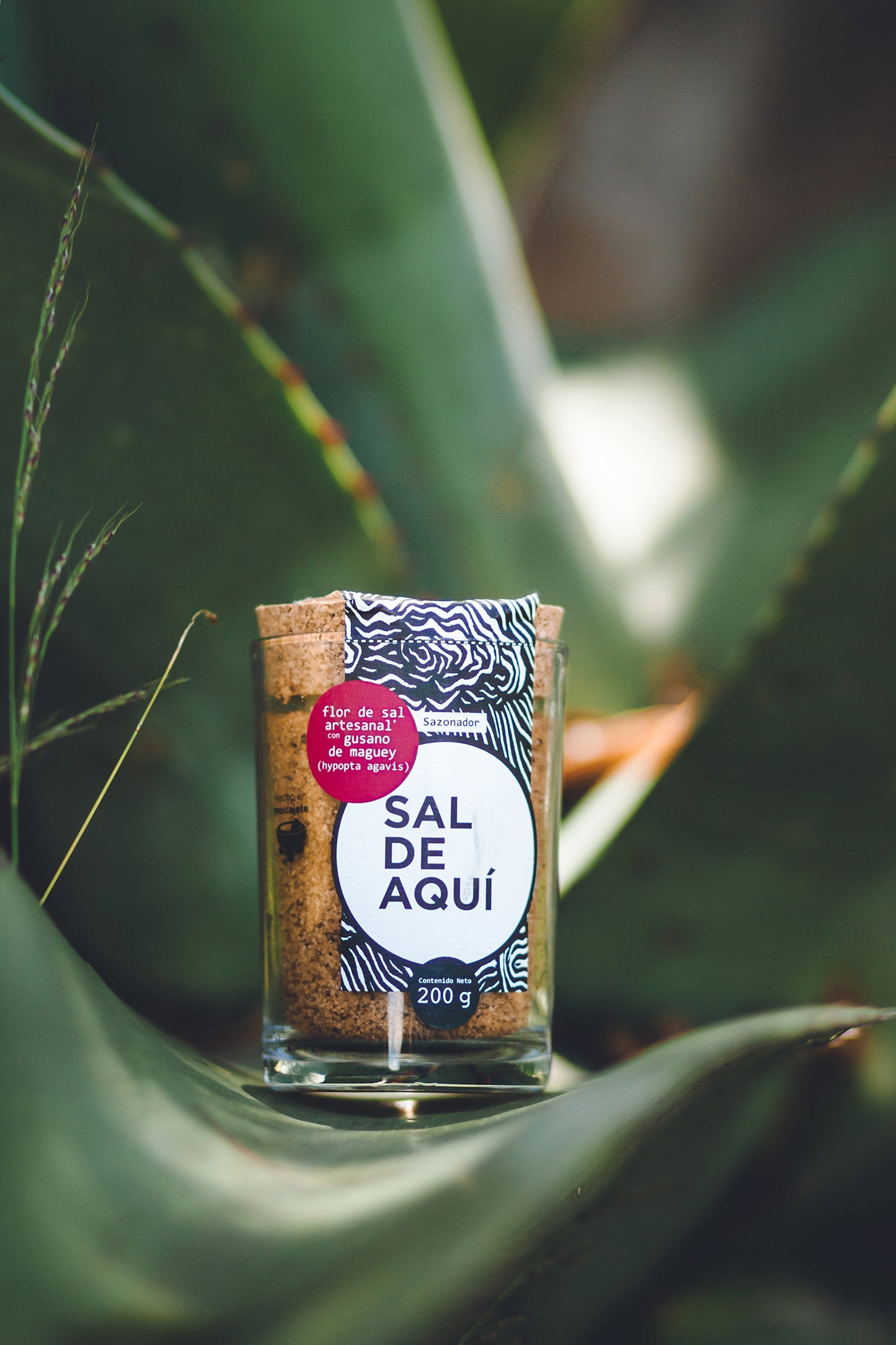 
                  
                    Flor de sal con gusano de maguey Sal de Aquí junto a planta de agave – sal artesanal de ingredientes mexicanos auténticos
                  
                