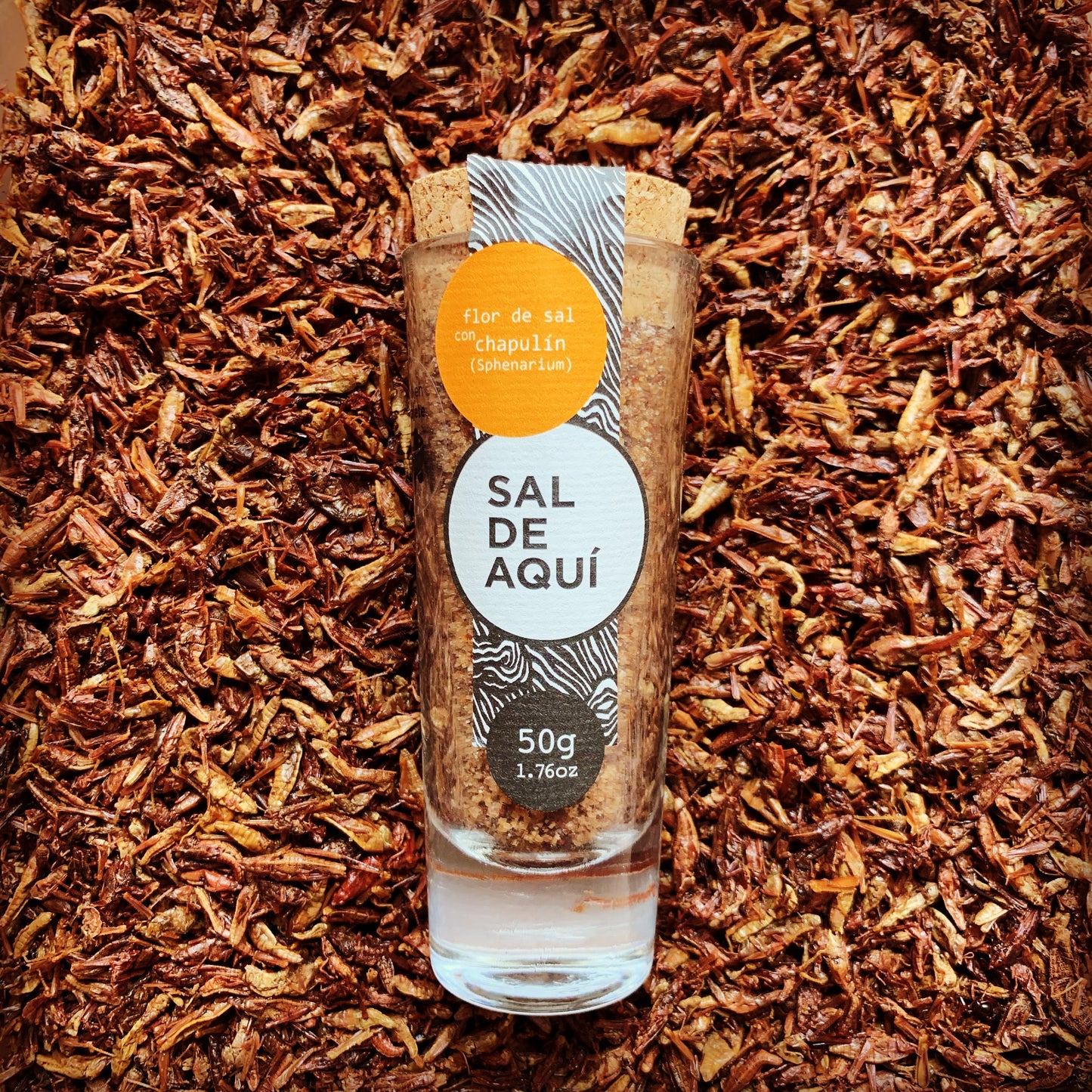Flor de sal con chapulín Sal de Aquí sobre chapulines oaxaqueños reales – sal artesanal mexicana ingrediente prehispánico